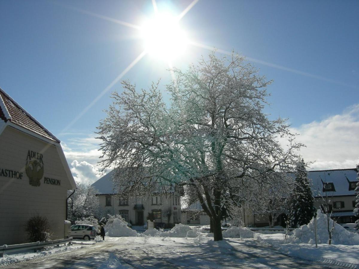 Pension Adler Bannholz Exterior photo